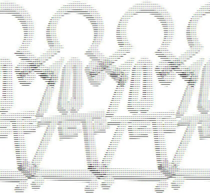 Les pages de garde — Le motif qui ouvre le livre, juste après la couverture.